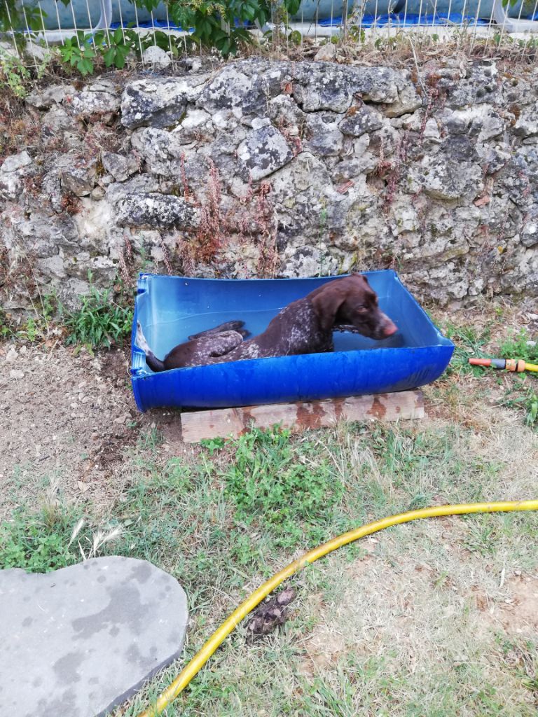 du domaine du framire - ONYX (Mode/Eto'o de Fresnel) PETIT RAFRAICHISSEMENT SOUS CANICULE 