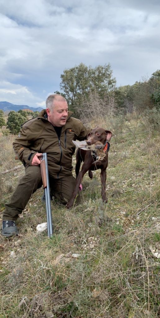 du domaine du framire - MILKA (Fiona/Diablo de l'Escalayole) UNE BECASSE FIN SAISON DE CHASSE