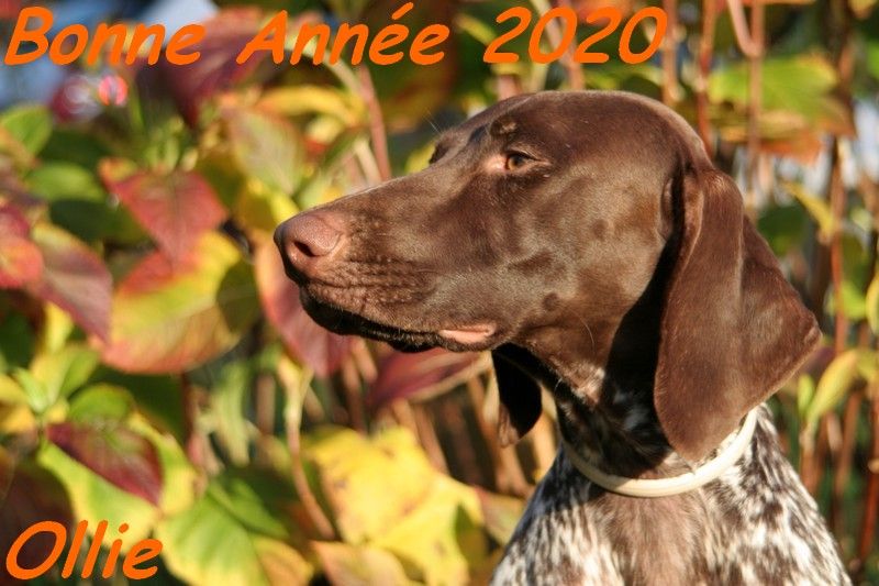 du domaine du framire - OLLIE (Jade/Eto'o) BONNE ANNEE 2020