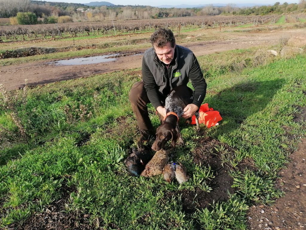 du domaine du framire - RUMBA (Ninon/Hampo des Granges de la Dombes) FABULEUSE CHASSE 