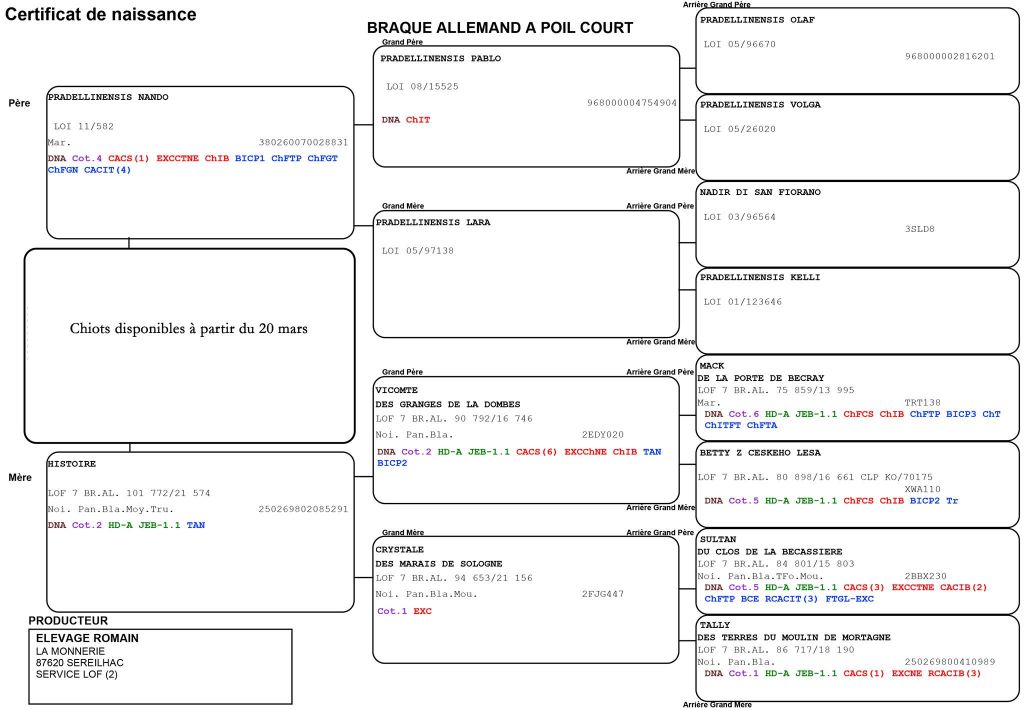 du domaine du framire - PEDIGREE DES CHIOTS D'HISTOIRE