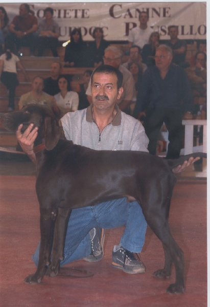 CH. Champion du domaine du framire