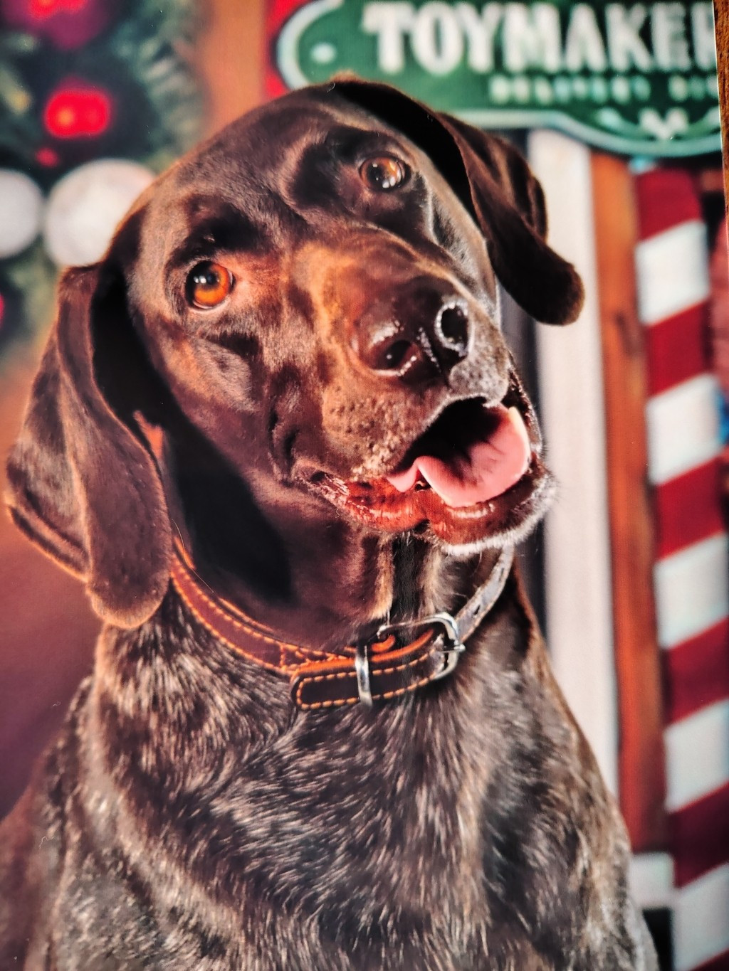 du domaine du framire - MEILLEURS VOEUX DE SELMA (Léa/Mac Gyver)