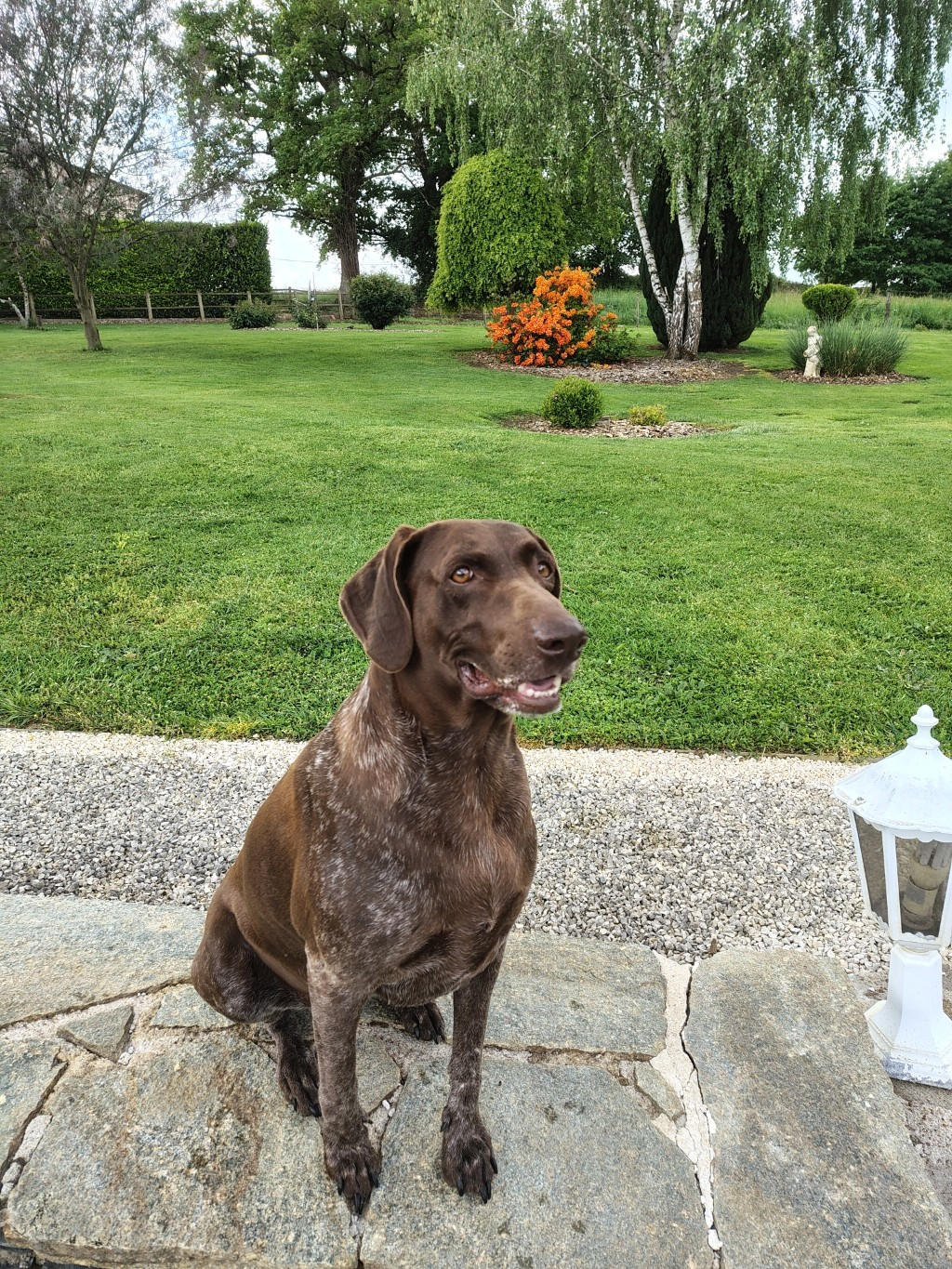 SELMA (Léa/Mac Gyver) 5 ANS DEJA