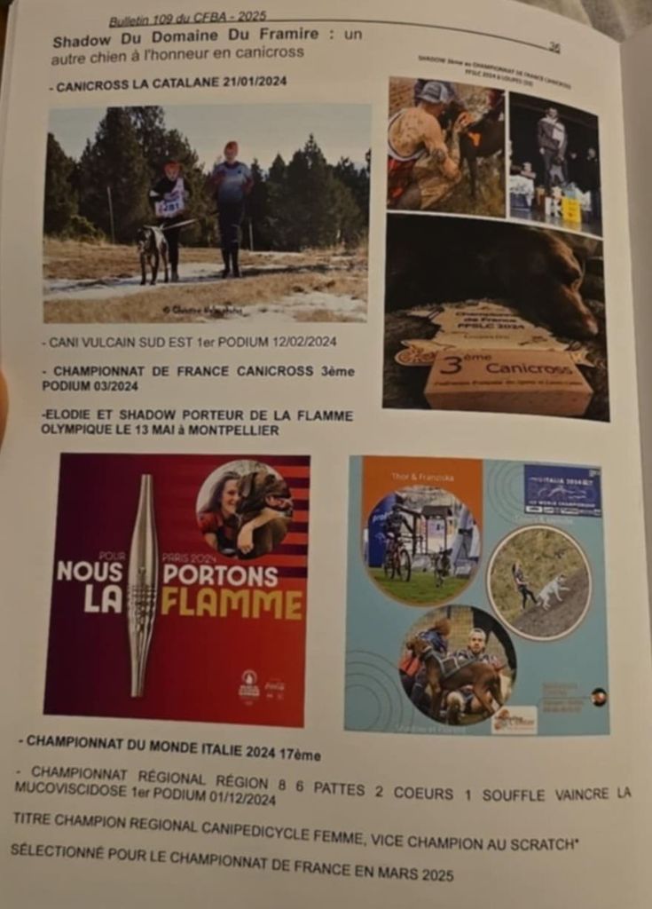 SHADOW PUBLICATION BULLETIN N° 109 CFBA