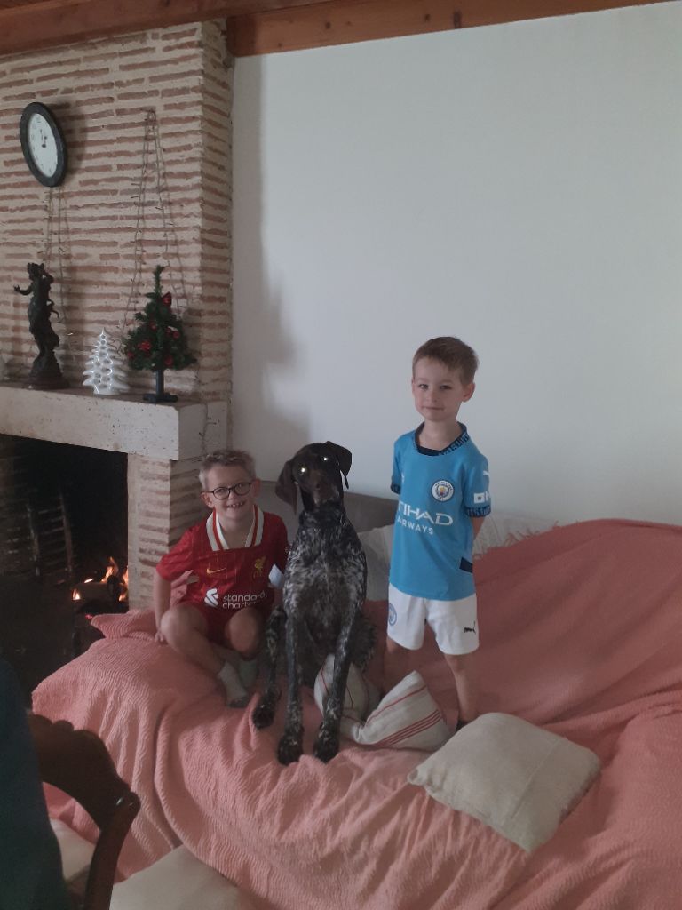 du domaine du framire - SAMI (Ninon/Hampo des Granges de la Dombes) EXPERT EN BECASSES