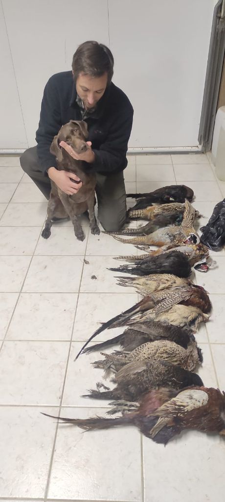 SELMA (Léa/Mac Gyver) TABLEAU DE CHASSE 2025